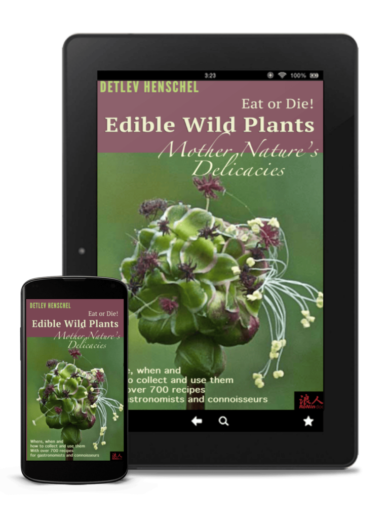Edible wild plants e-book recommendation by Detlev Henschel